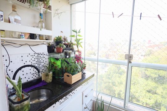 Sala de apartamento para alugar com 3 quartos, 60m² em Padroeira, Osasco
