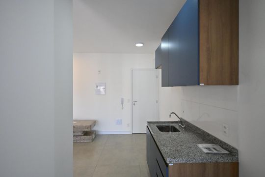 Cozinha de apartamento para alugar com 2 quartos, 59m² em Vila Progredior, São Paulo