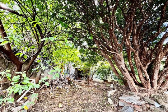 Área externa de casa à venda com 3 quartos, 260m² em Lagoinha, Belo Horizonte