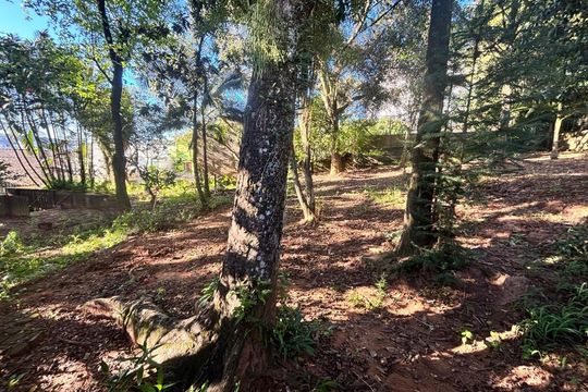 Área externa de casa para alugar com 4 quartos, 1163m² em Centro, Novo Hamburgo