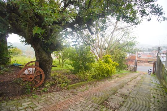 Quintal de casa para alugar com 2 quartos, 115m² em Arroio da Manteiga, São Leopoldo