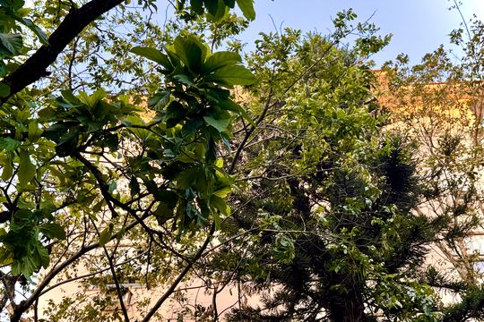 Apartamento para alugar com 3 quartos, 148m² em Santa Teresa, Rio de Janeiro