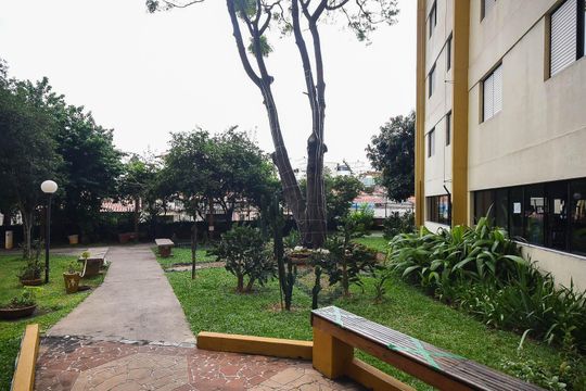 Jardim de apartamento para alugar com 3 quartos, 68m² em Parque Esmeralda, São Paulo
