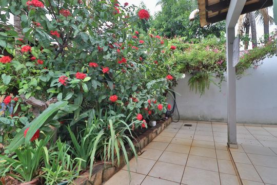 Jardim - Quintal de casa para alugar com 6 quartos, 360m² em Custódio Pereira, Uberlândia