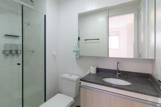 Banheiro da Suíte de apartamento para alugar com 2 quartos, 34m² em Lapa de Baixo, São Paulo