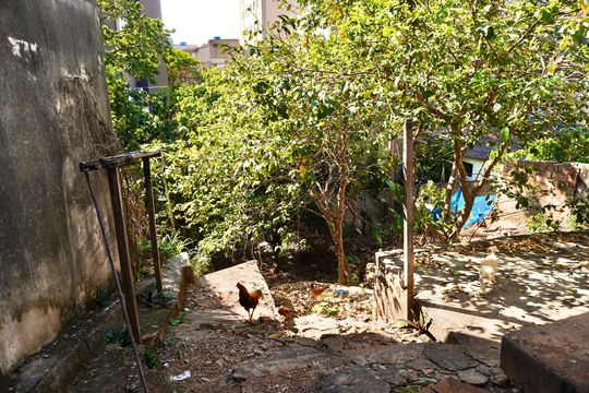 Quintal  de casa à venda com 2 quartos, 110m² em Sagrada Família, Belo Horizonte