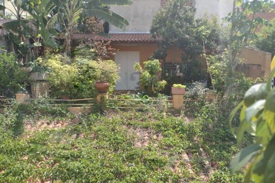 Casa à venda com 6 quartos, 250m² em Cambuci, São Paulo