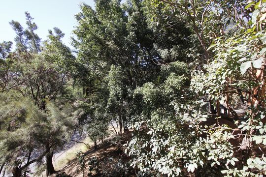 Vista de apartamento para alugar com 3 quartos, 84m² em Estrela Dalva, Belo Horizonte
