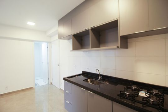 Cozinha de apartamento para alugar com 2 quartos, 42m² em Vila Albertina, São Paulo