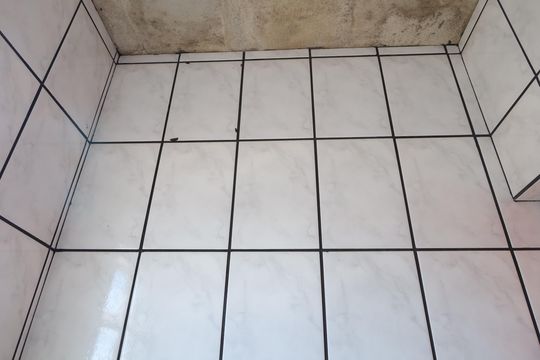 Banheiro 3- Salão de casa para alugar com 2 quartos, 55m² em Jardim Planalto, São Paulo