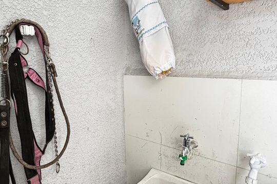 Cobertura - Area de Serviço de apartamento para alugar com 2 quartos, 74m² em Vila Príncipe de Gales, Santo André