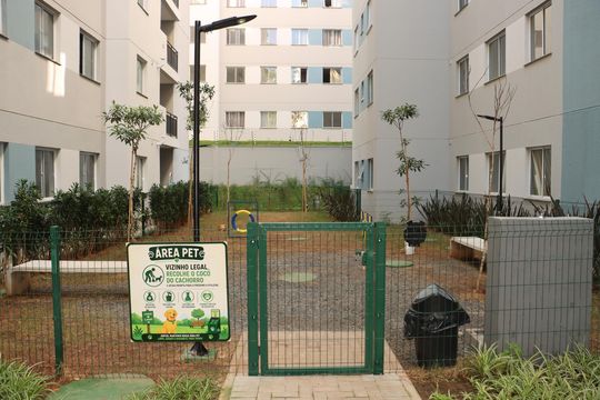 Apartamento para alugar com 2 quartos, 35m² em Cidade São Mateus, São Paulo