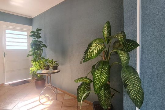 Área externa de casa para alugar com 1 quarto, 55m² em Jardim Petropolis, Campinas