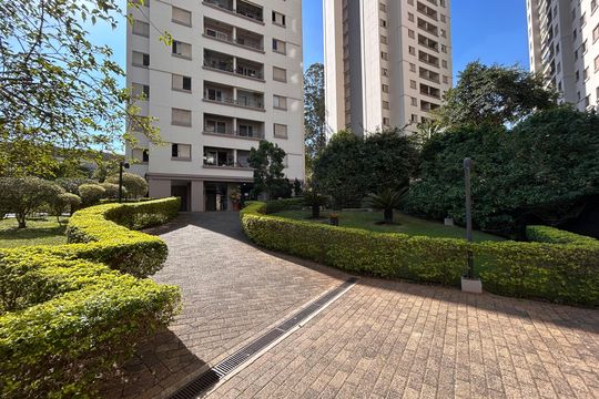 Área comum de apartamento para alugar com 3 quartos, 70m² em Vila Isa, São Paulo