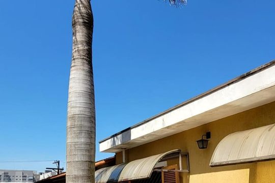 Varanda de casa para alugar com 3 quartos, 240m² em Jardim Juá, São Paulo