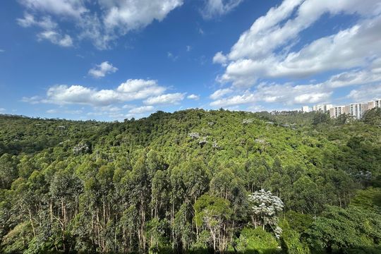 Vista de apartamento para alugar com 1 quarto, 60m² em  trix housing tambore, Santana de Parnaíba