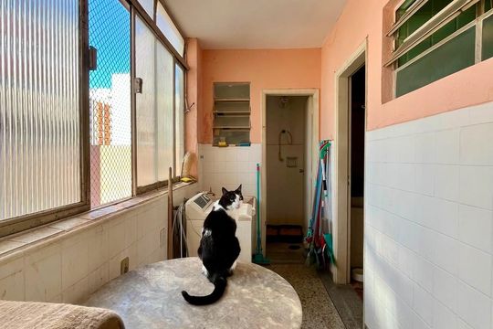 Área de Serviço de apartamento à venda com 2 quartos, 145m² em Vila Lidia, Campinas