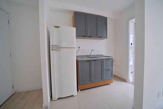 Cozinha de apartamento para alugar com 2 quartos, 42m² em Vila Guilhermina, São Paulo