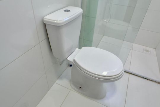 Banheiro de apartamento para alugar com 2 quartos, 60m² em Vila Nova Bonsucesso, Guarulhos