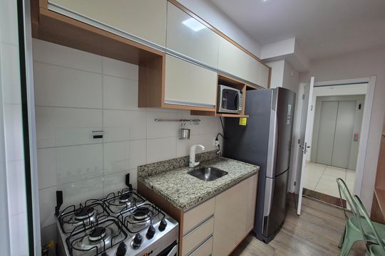 Cozinha de apartamento para alugar com 2 quartos, 48m² em Residencial Parque da Fazenda, Campinas