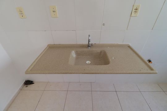 Cozinha  de apartamento para alugar com 2 quartos, 48m² em Parque Sao Sebastiao, Ribeirão Preto