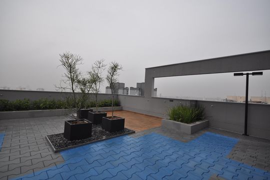 Área comum de apartamento para alugar com 2 quartos, 43m² em Vila Gustavo, São Paulo