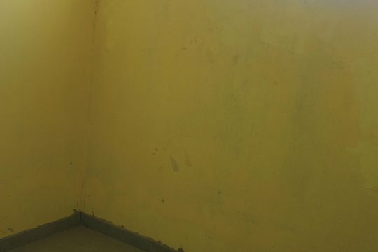 Quarto 2 de casa para alugar com 2 quartos, 31m² em Jardim Betel, Guarulhos