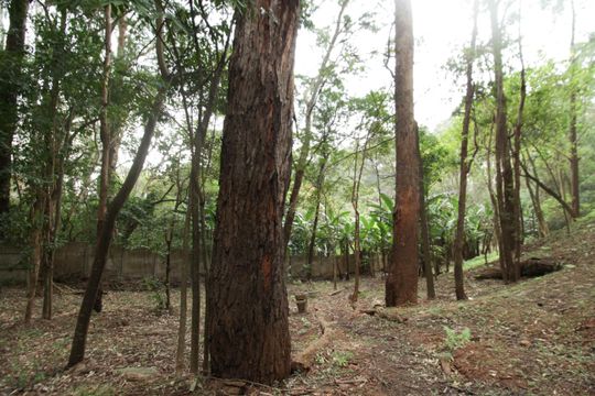 Área comum de apartamento para alugar com 2 quartos, 50m² em Jardim Iris, São Paulo
