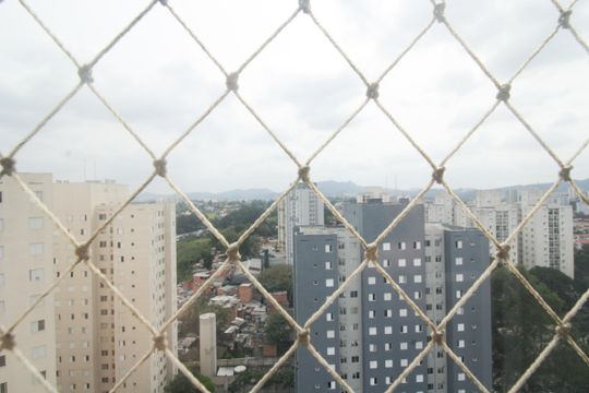 Vista de apartamento para alugar com 2 quartos, 50m² em Jardim Iris, São Paulo