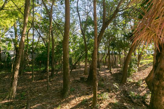 Área comum - Bosque de apartamento à venda com 2 quartos, 96m² em Jardim Lourdes, São Paulo