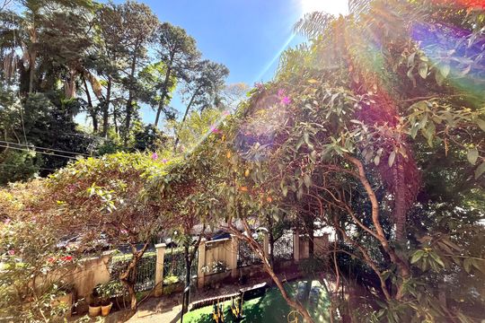 Vista da Sala de apartamento para alugar com 3 quartos, 65m² em Jabaquara, São Paulo