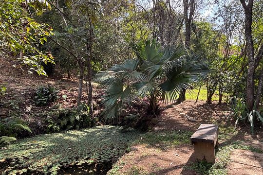 Área Verde de apartamento à venda com 2 quartos, 48m² em Frei Leopoldo, Belo Horizonte