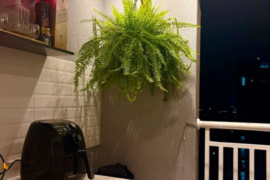 Varanda de apartamento para alugar com 1 quarto, 39m² em Santa Maria, Osasco