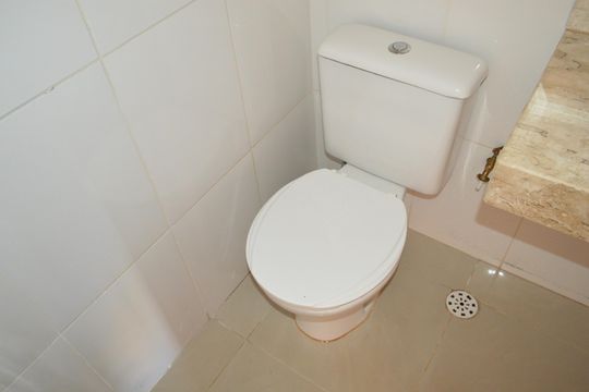 Lavabo de apartamento para alugar com 2 quartos, 69m² em Jardim Botânico, Ribeirão Preto