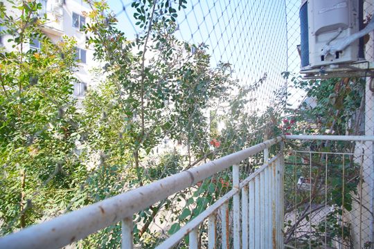 Vista da Sala de apartamento para alugar com 3 quartos, 52m² em Santos Dumont, São Leopoldo