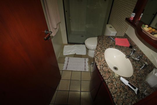 Banheiro de apartamento para alugar com 3 quartos, 107m² em Parque Mandaqui, São Paulo