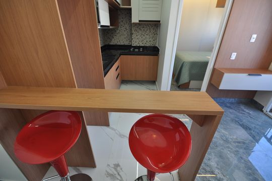 Cozinha de apartamento para alugar com 1 quarto, 29m² em Vila Mazzei, São Paulo