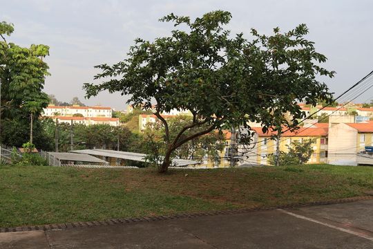 Área comum de apartamento à venda com 2 quartos, 43m² em Jardim Paulista, Barueri