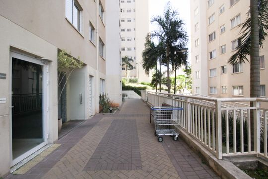 Área comum de apartamento para alugar com 2 quartos, 41m² em Vila Zat, São Paulo