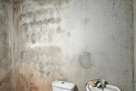 Banheiro de casa para alugar com 1 quarto, 80m² em Vila Pereira Cerca, São Paulo