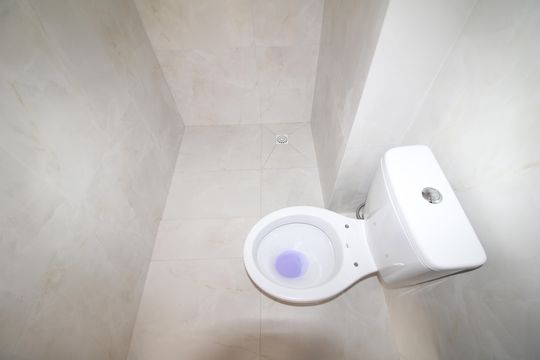 Banheiro de apartamento para alugar com 1 quarto, 27m² em Santana, São Paulo
