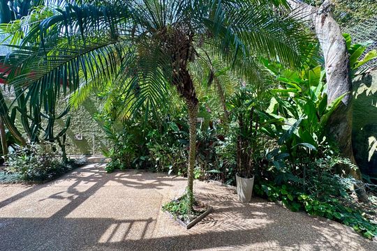 Vista cozinha de casa de condomínio para alugar com 1 quarto, 70m² em Santo Amaro, São Paulo