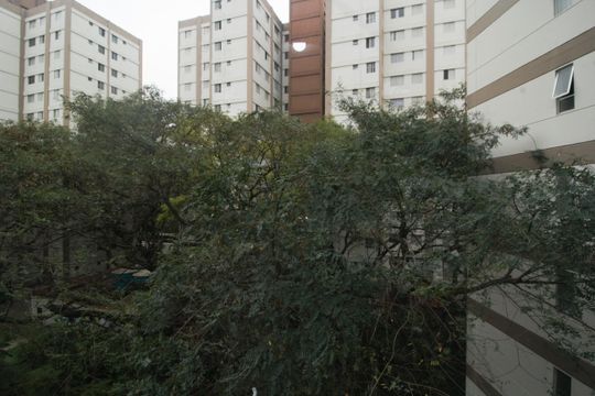 Vista quarto 2 de apartamento para alugar com 3 quartos, 60m² em Jardim Iris, São Paulo