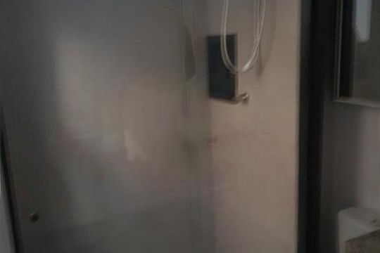Apartamento à venda com 1 quarto, 44m² em Jardim São Paulo, São Paulo
