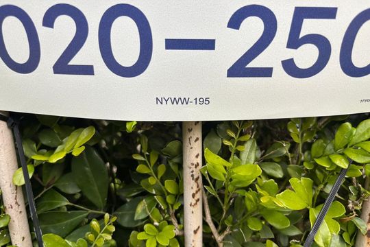 Plaquinha Instalada código NYWW-195 de apartamento para alugar com 2 quartos, 53m² em Jardim Carvalho, Porto Alegre