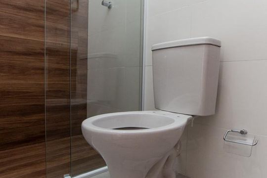 Banheiro de apartamento para alugar com 2 quartos, 48m² em Jardim Japao, São Paulo