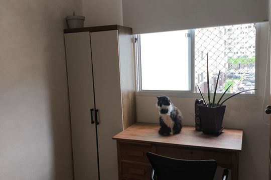 Quarto de apartamento para alugar com 2 quartos, 48m² em Barra Olímpica, Rio de Janeiro