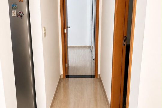 Corredor de apartamento para alugar com 1 quarto, 52m² em Santa Cruz, Rio de Janeiro