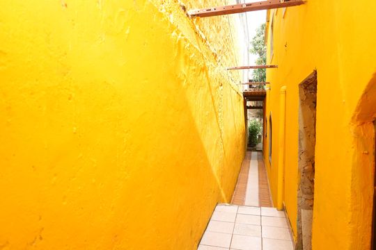 Corredor de casa para alugar com 2 quartos, 60m² em Jardim das Camelias, São Paulo