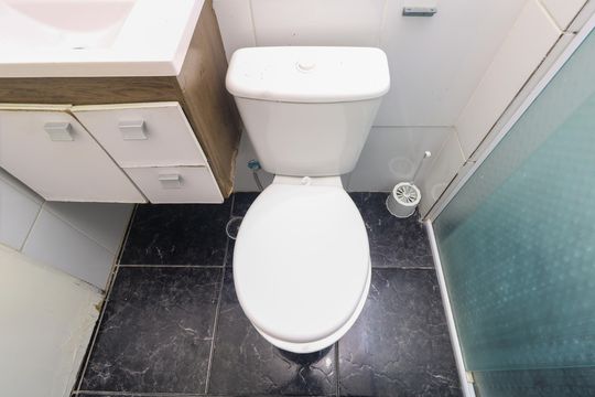 Banheiro de apartamento para alugar com 2 quartos, 52m² em Parque Sao Vicente, Santo André